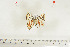  ( - BC-TB7132)  @12 [ ] Copyright (2010) Thierry Bouyer Research Collection of Thierry Bouyer