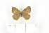  ( - BC-TB7525)  @11 [ ] Copyright (2010) Thierry Bouyer Research Collection of Philippe Leonard