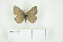  ( - BC-TB7535)  @13 [ ] Copyright (2010) Thierry Bouyer Research Collection of Philippe Leonard