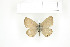  ( - BC-TB7544)  @12 [ ] Copyright (2010) Thierry Bouyer Research Collection of Philippe Leonard