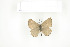  ( - BC-TB7548)  @13 [ ] Copyright (2010) Thierry Bouyer Research Collection of Philippe Leonard
