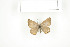  ( - BC-TB7550)  @13 [ ] Copyright (2010) Thierry Bouyer Research Collection of Philippe Leonard