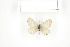 ( - BC-TB7552)  @13 [ ] Copyright (2010) Thierry Bouyer Research Collection of Philippe Leonard