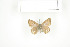  ( - BC-TB7555)  @13 [ ] Copyright (2010) Thierry Bouyer Research Collection of Philippe Leonard