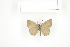  ( - BC-TB7557)  @13 [ ] Copyright (2010) Thierry Bouyer Research Collection of Philippe Leonard
