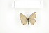  ( - BC-TB7558)  @13 [ ] Copyright (2010) Thierry Bouyer Research Collection of Philippe Leonard