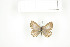  ( - BC-TB7568)  @13 [ ] Copyright (2010) Thierry Bouyer Research Collection of Philippe Leonard