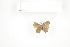  ( - BC-TB7621)  @12 [ ] Copyright (2010) Thierry Bouyer Research Collection of Philippe Leonard