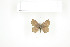  ( - BC-TB7623)  @12 [ ] Copyright (2010) Thierry Bouyer Research Collection of Philippe Leonard