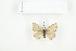  ( - BC-TB7692)  @12 [ ] Copyright (2010) Thierry Bouyer Research Collection of Philippe Leonard
