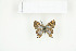  ( - BC-TB7697)  @12 [ ] Copyright (2010) Thierry Bouyer Research Collection of Philippe Leonard