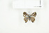  ( - BC-TB7699)  @12 [ ] Copyright (2010) Thierry Bouyer Research Collection of Philippe Leonard