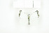  ( - BC-TB7759)  @14 [ ] Copyright (2010) Thierry Bouyer Research Collection of Philippe Leonard