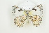  ( - BC-TB8849)  @12 [ ] Copyright (2012) Thierry Bouyer Research Collection of Thierry Bouyer