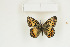  ( - BC-TB8863)  @12 [ ] Copyright (2012) Thierry Bouyer Research Collection of Thierry Bouyer