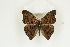  ( - BC-TB8866)  @13 [ ] Copyright (2012) Thierry Bouyer Research Collection of Thierry Bouyer