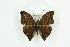  ( - BC-TB8880)  @13 [ ] Copyright (2012) Thierry Bouyer Research Collection of Thierry Bouyer