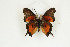  ( - BC-TB8885)  @13 [ ] Copyright (2012) Thierry Bouyer Research Collection of Thierry Bouyer
