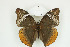  ( - BC-TB8916)  @13 [ ] Copyright (2012) Thierry Bouyer Research Collection of Thierry Bouyer