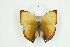  ( - BC-TB8919)  @12 [ ] Copyright (2012) Thierry Bouyer Research Collection of Thierry Bouyer