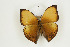  ( - BC-TB8923)  @12 [ ] Copyright (2012) Thierry Bouyer Research Collection of Thierry Bouyer