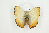  ( - BC-TB8924)  @13 [ ] Copyright (2012) Thierry Bouyer Research Collection of Thierry Bouyer