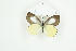  ( - BC-TB8943)  @14 [ ] Copyright (2012) Thierry Bouyer Research Collection of Thierry Bouyer