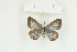  ( - BC-TB8956)  @13 [ ] Copyright (2012) Thierry Bouyer Research Collection of Thierry Bouyer