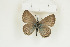  ( - BC-TB8959)  @11 [ ] Copyright (2012) Thierry Bouyer Research Collection of Thierry Bouyer