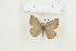  ( - BC-TB8960)  @12 [ ] Copyright (2012) Thierry Bouyer Research Collection of Thierry Bouyer
