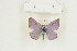  ( - BC-TB8968)  @12 [ ] Copyright (2012) Thierry Bouyer Research Collection of Thierry Bouyer