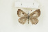  ( - BC-TB8971)  @12 [ ] Copyright (2012) Thierry Bouyer Research Collection of Thierry Bouyer