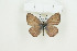  ( - BC-TB8972)  @12 [ ] Copyright (2012) Thierry Bouyer Research Collection of Thierry Bouyer