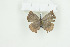  ( - BC-TB8976)  @12 [ ] Copyright (2012) Thierry Bouyer Research Collection of Thierry Bouyer