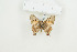  ( - BC-TB9022)  @12 [ ] Copyright (2012) Thierry Bouyer Research Collection of Thierry Bouyer