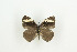  ( - BC-TB9166)  @12 [ ] Copyright (2012) Thierry Bouyer Research Collection of Thierry Bouyer