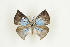  ( - BC-TB9168)  @12 [ ] Copyright (2012) Thierry Bouyer Research Collection of Thierry Bouyer