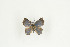  ( - BC-TB9190)  @12 [ ] Copyright (2012) Thierry Bouyer Research Collection of Thierry Bouyer
