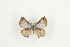  ( - BC-TB9217)  @12 [ ] Copyright (2012) Thierry Bouyer Research Collection of Thierry Bouyer