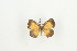  ( - BC-TB9232)  @12 [ ] Copyright (2012) Thierry Bouyer Research Collection of Thierry Bouyer
