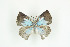  ( - BC-TB9248)  @12 [ ] Copyright (2012) Thierry Bouyer Research Collection of Thierry Bouyer