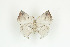  ( - BC-TB9249)  @12 [ ] Copyright (2012) Thierry Bouyer Research Collection of Thierry Bouyer