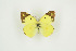 ( - BC-TB9374)  @13 [ ] Copyright (2012) Thierry Bouyer Research Collection of Thierry Bouyer