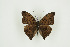  ( - BC-TB9382)  @12 [ ] Copyright (2012) Thierry Bouyer Research Collection of Thierry Bouyer