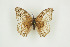  ( - BC-TB9385)  @12 [ ] Copyright (2012) Thierry Bouyer Research Collection of Thierry Bouyer