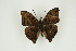  ( - BC-TB9389)  @13 [ ] Copyright (2012) Thierry Bouyer Research Collection of Thierry Bouyer