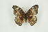  ( - BC-TB9392)  @13 [ ] Copyright (2012) Thierry Bouyer Research Collection of Thierry Bouyer