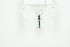  ( - BC-TB8178)  @12 [ ] Copyright (2011) Thierry Bouyer Research Collection of Thierry Bouyer