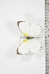  ( - BC-TB3707)  @13 [ ] Copyright (2010) Unspecified Research Collection of Thierry Bouyer