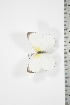  ( - BC-TB3708)  @13 [ ] Copyright (2010) Unspecified Research Collection of Thierry Bouyer